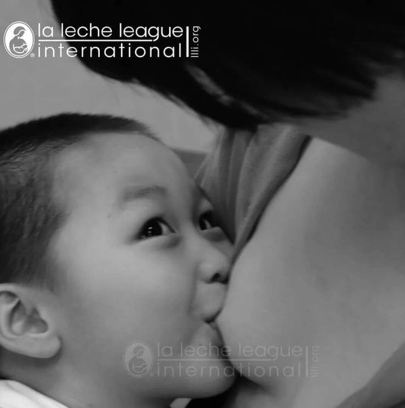 Photograph of toddler breastfeeding